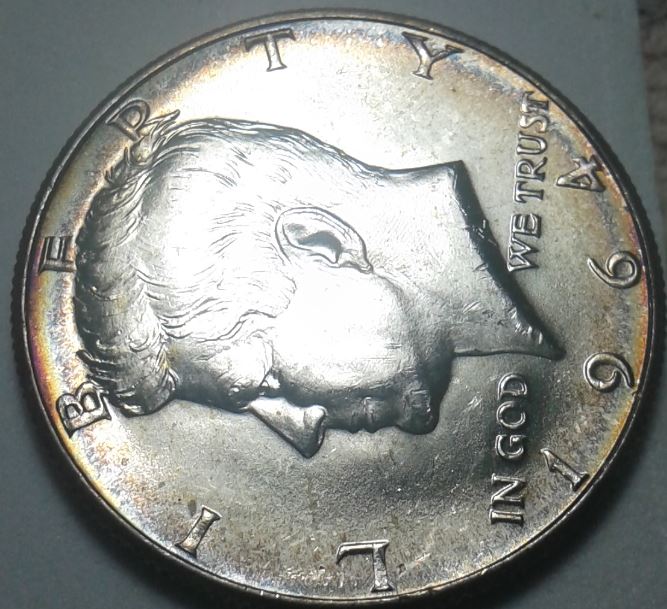1964-Kennedy-Half-Dollar.-Grading.